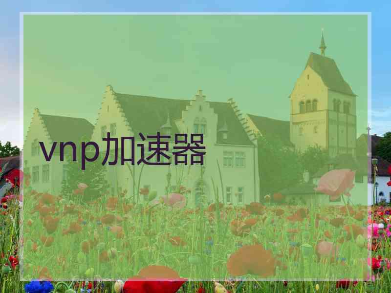 vnp加速器