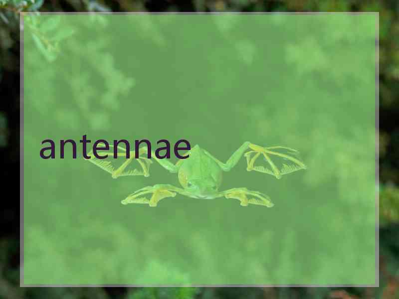 antennae
