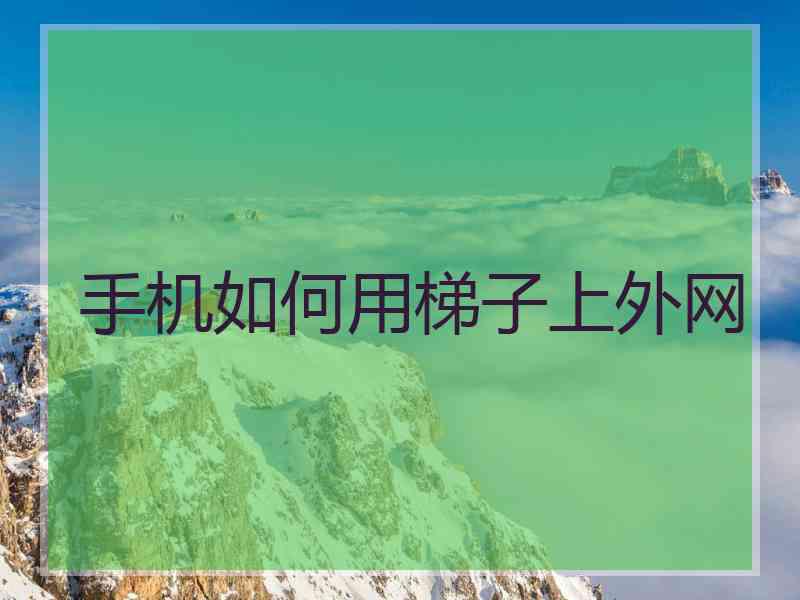 手机如何用梯子上外网