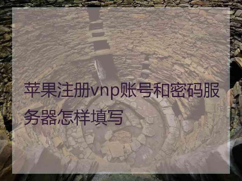 苹果注册vnp账号和密码服务器怎样填写