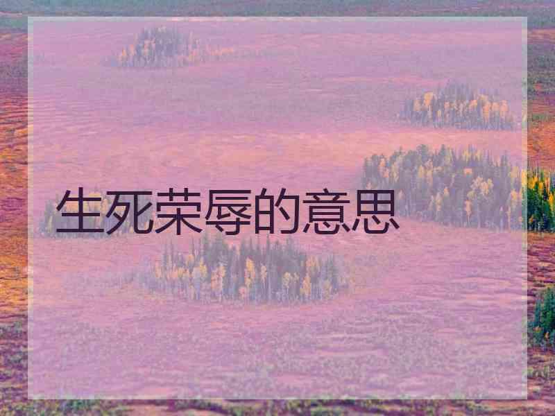 生死荣辱的意思
