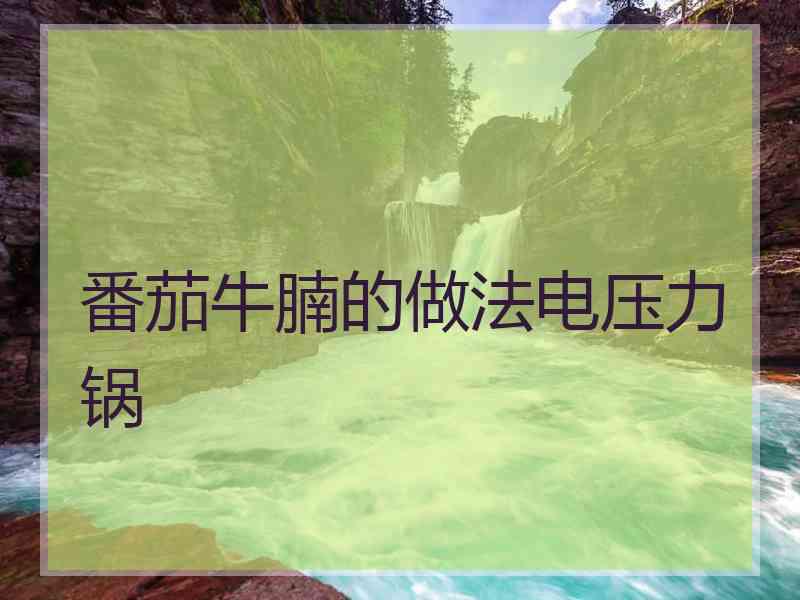 番茄牛腩的做法电压力锅