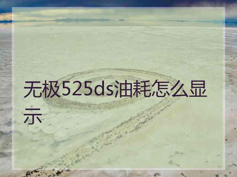 无极525ds油耗怎么显示