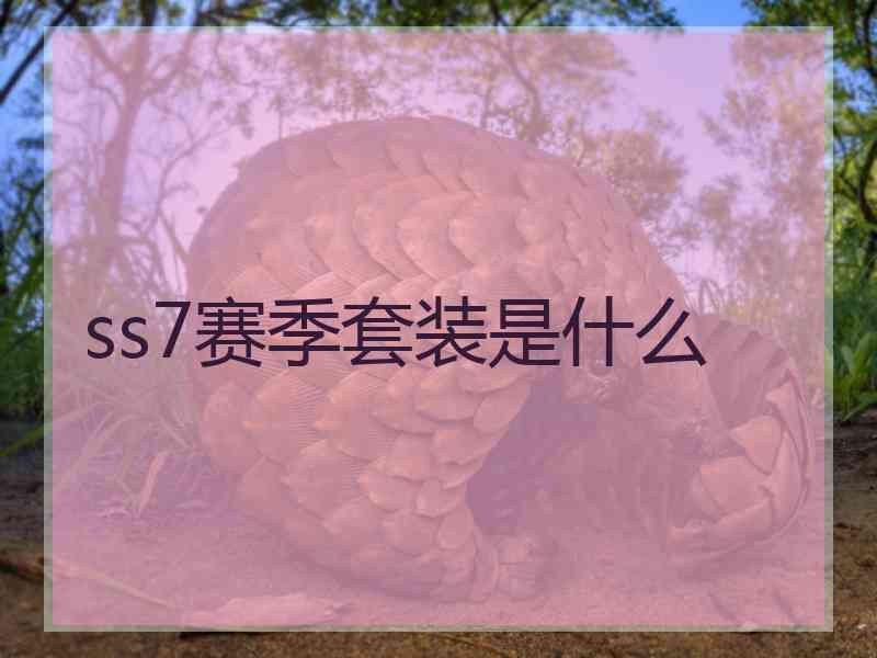 ss7赛季套装是什么