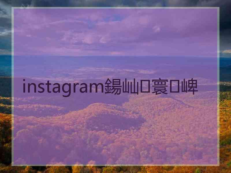 instagram鍚屾寰崥