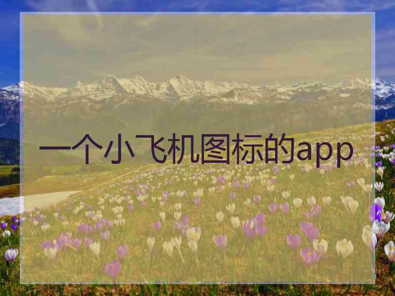 一个小飞机图标的app