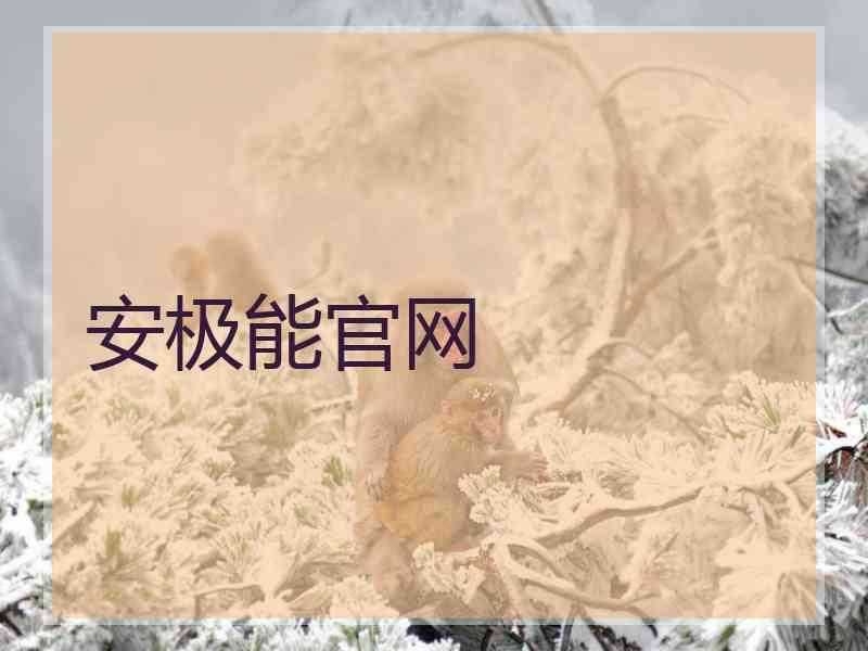 安极能官网