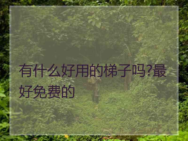 有什么好用的梯子吗?最好免费的