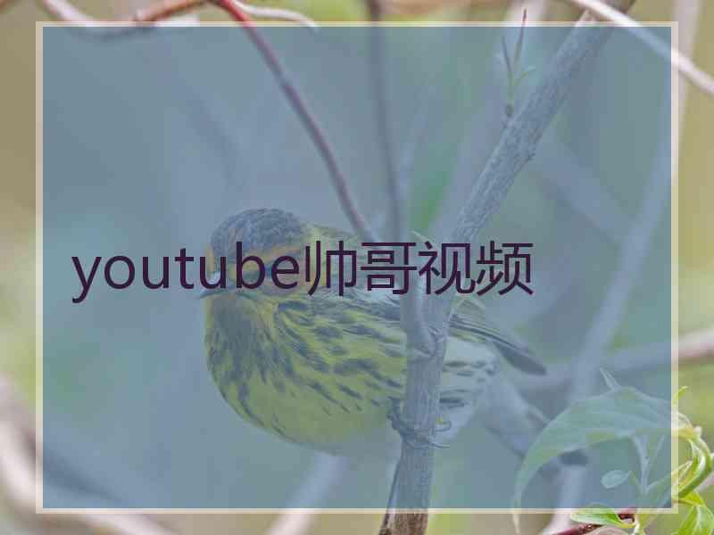 youtube帅哥视频