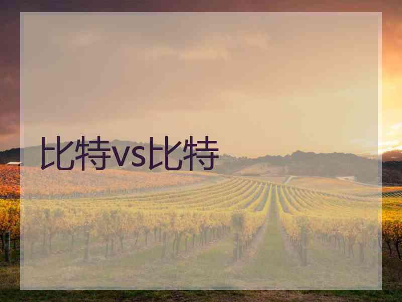 比特vs比特