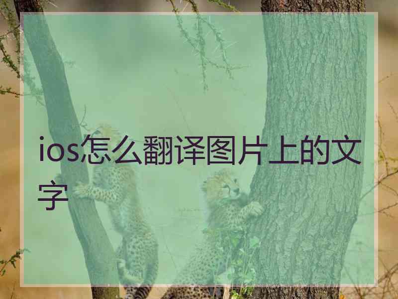 ios怎么翻译图片上的文字