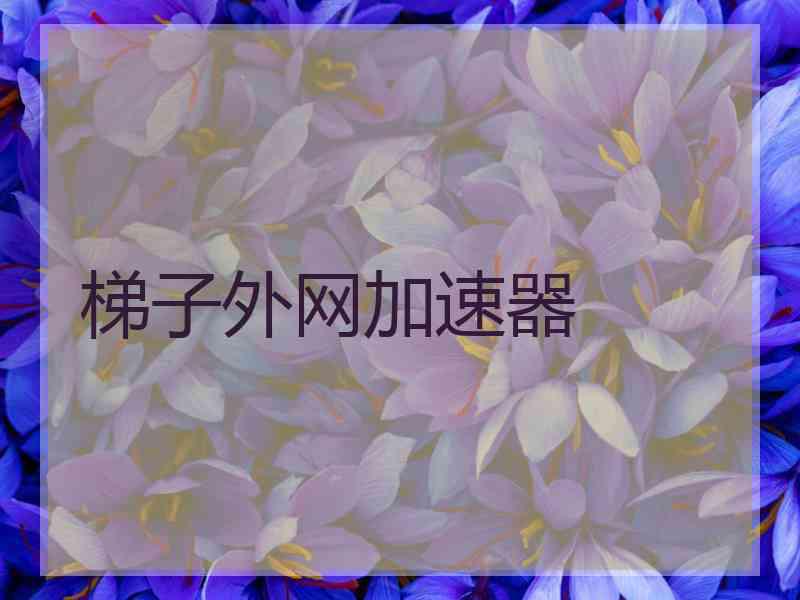梯子外网加速器