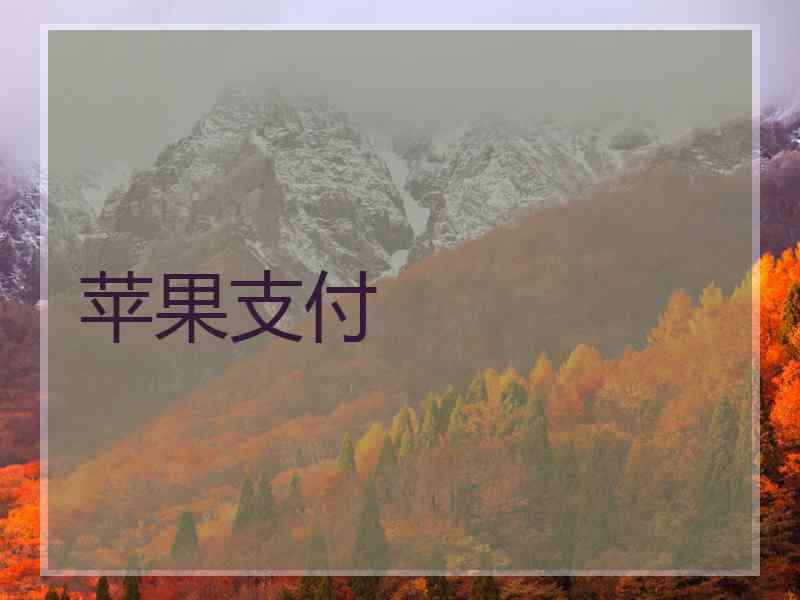 苹果支付