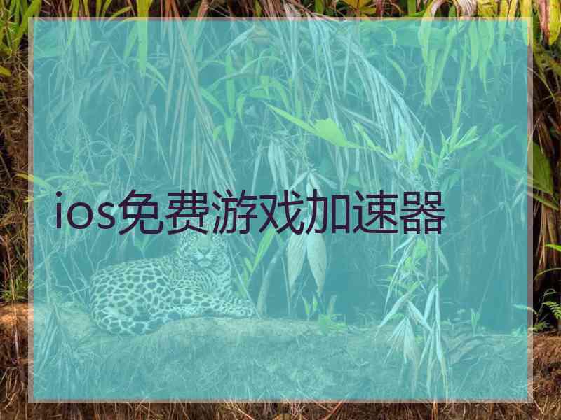 ios免费游戏加速器