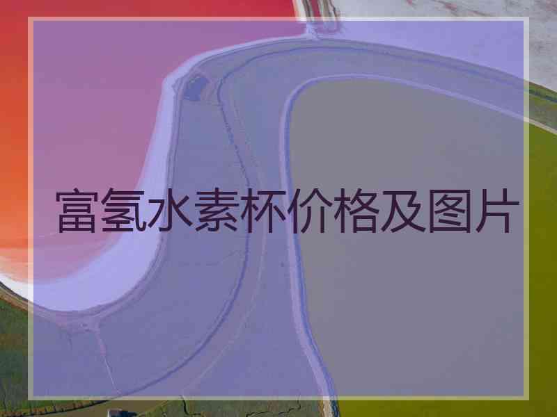 富氢水素杯价格及图片