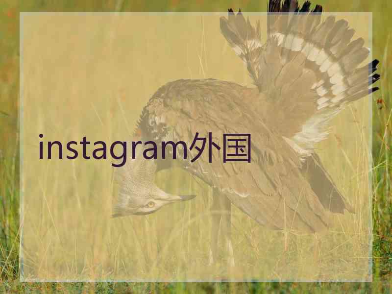 instagram外国