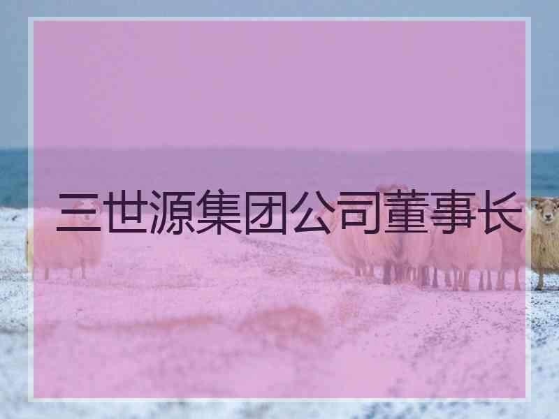 三世源集团公司董事长