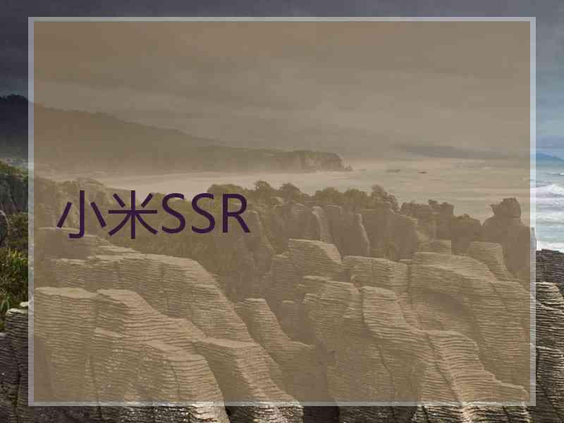 小米SSR