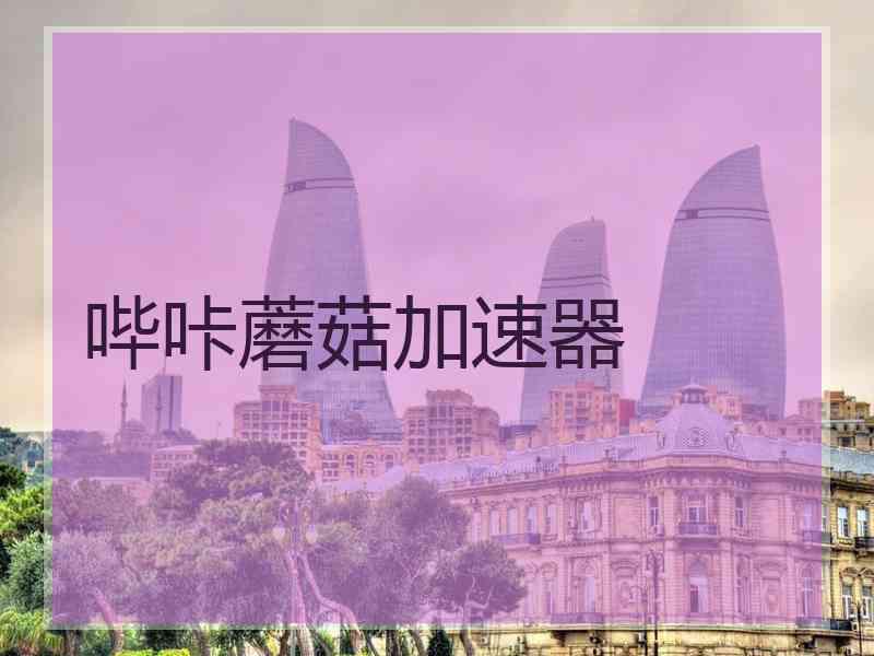哔咔蘑菇加速器