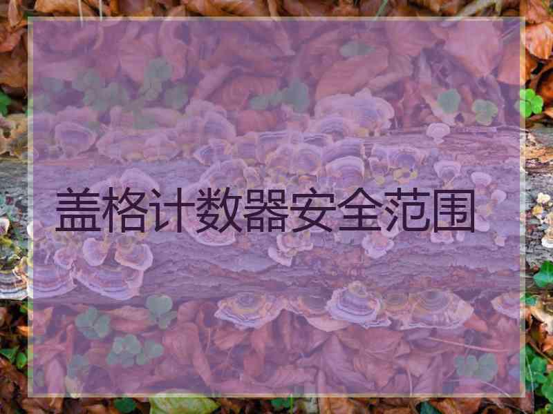 盖格计数器安全范围