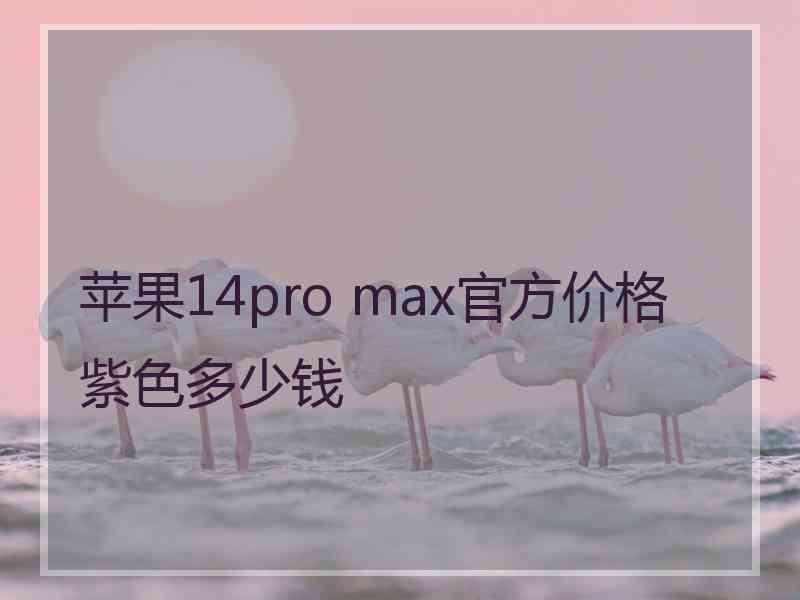 苹果14pro max官方价格紫色多少钱