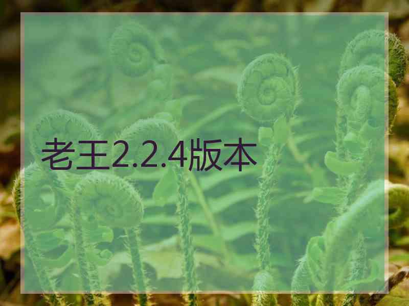 老王2.2.4版本