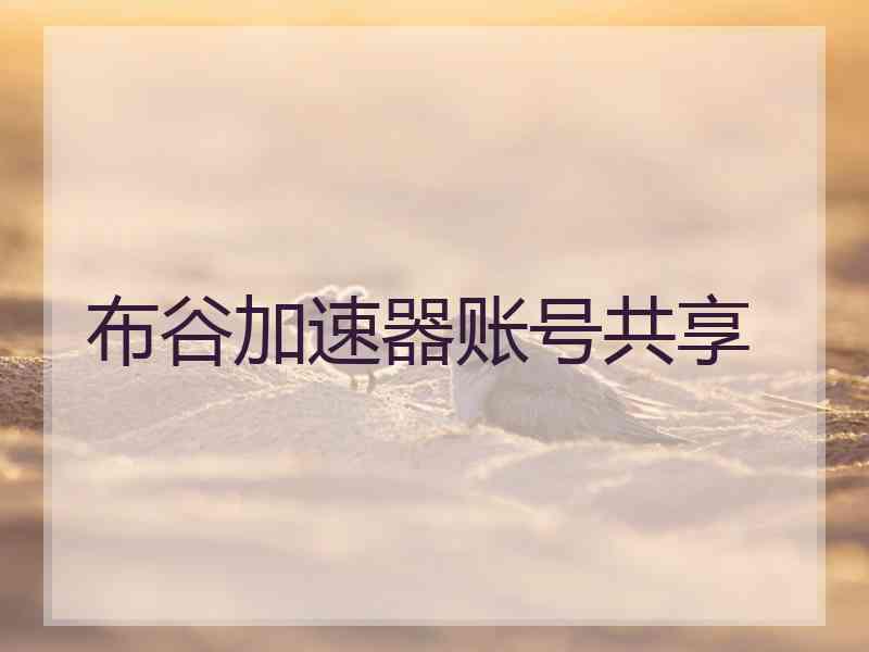 布谷加速器账号共享