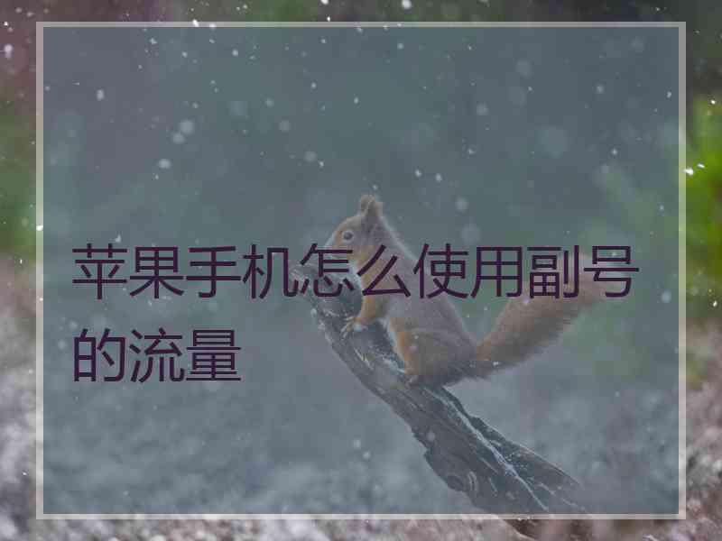 苹果手机怎么使用副号的流量