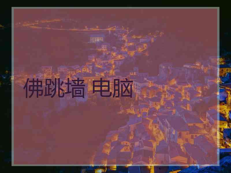 佛跳墙 电脑