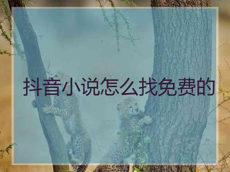抖音小说怎么找免费的