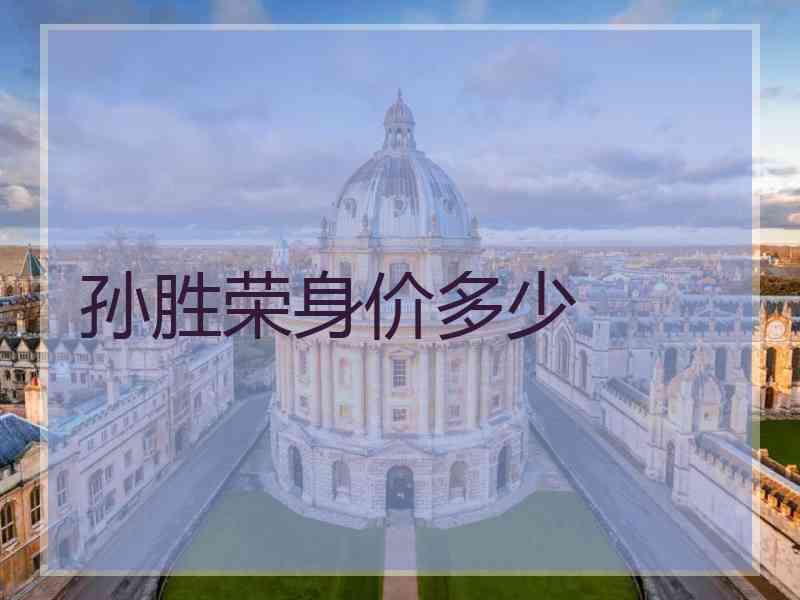 孙胜荣身价多少