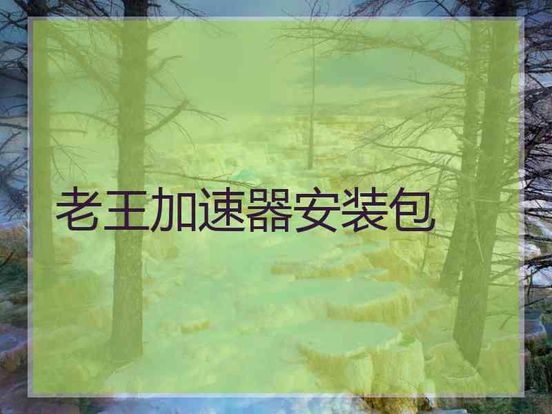 老王加速器安装包