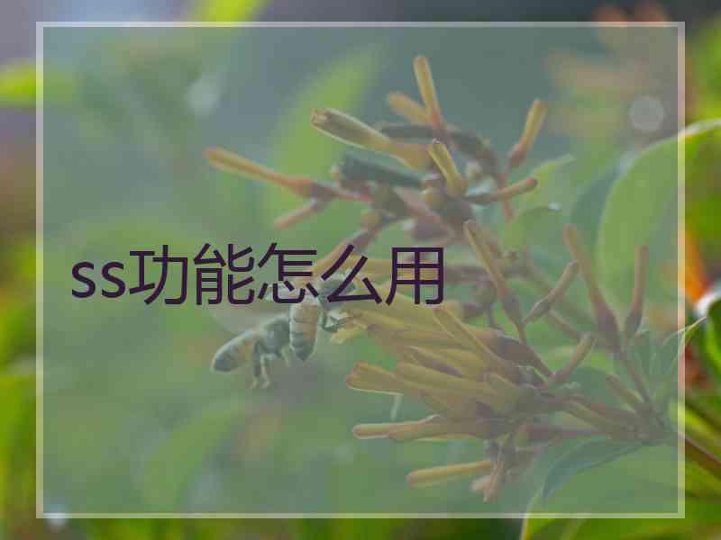 ss功能怎么用