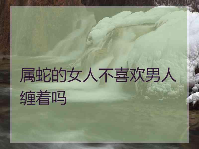 属蛇的女人不喜欢男人缠着吗