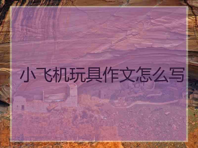 小飞机玩具作文怎么写