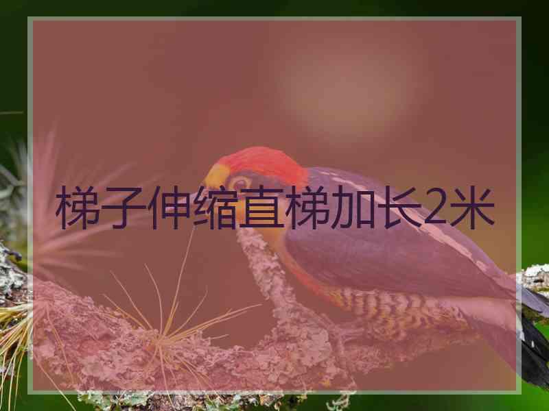 梯子伸缩直梯加长2米