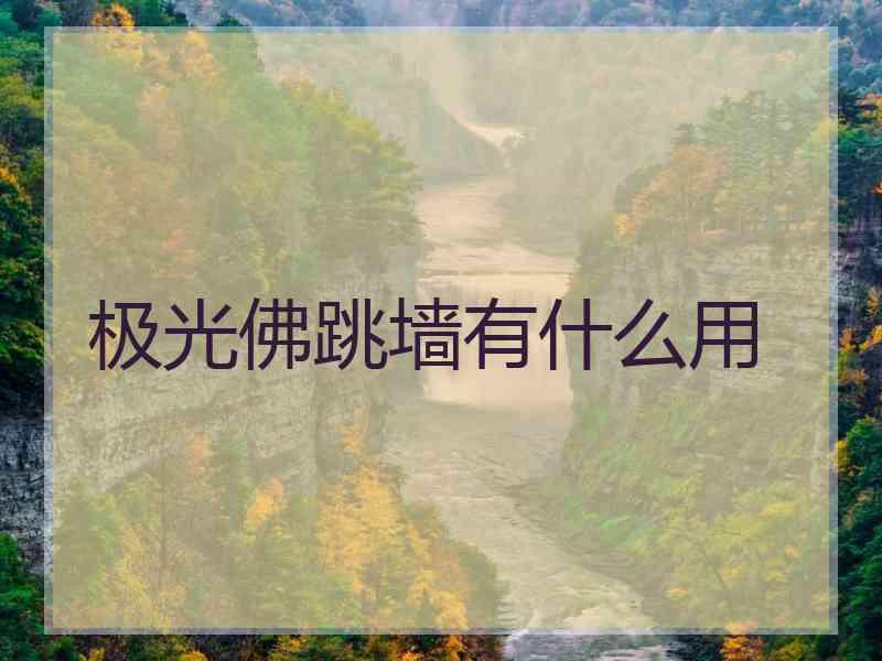 极光佛跳墙有什么用