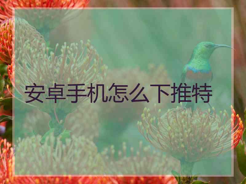 安卓手机怎么下推特