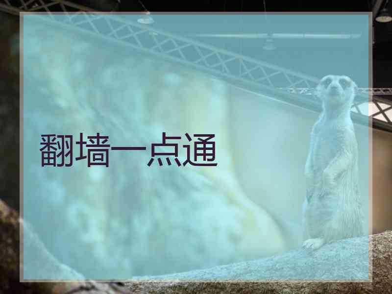 翻墙一点通