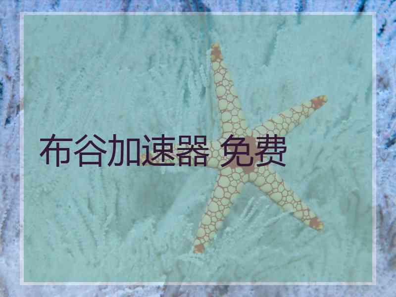 布谷加速器 免费