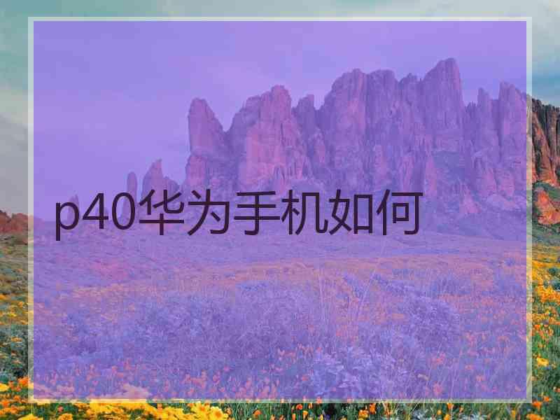 p40华为手机如何