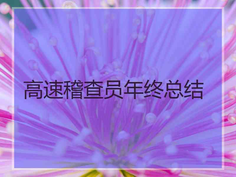 高速稽查员年终总结