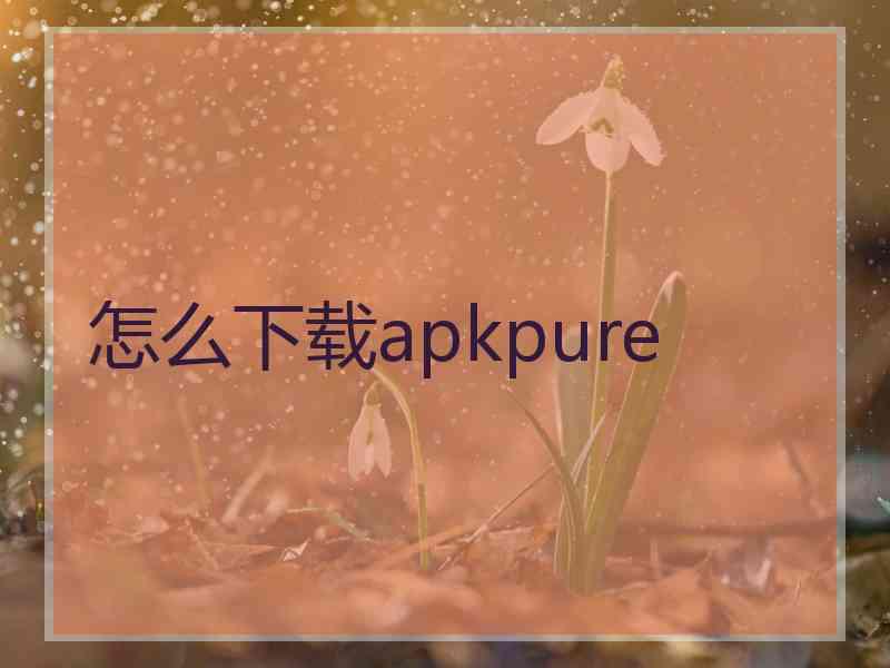 怎么下载apkpure