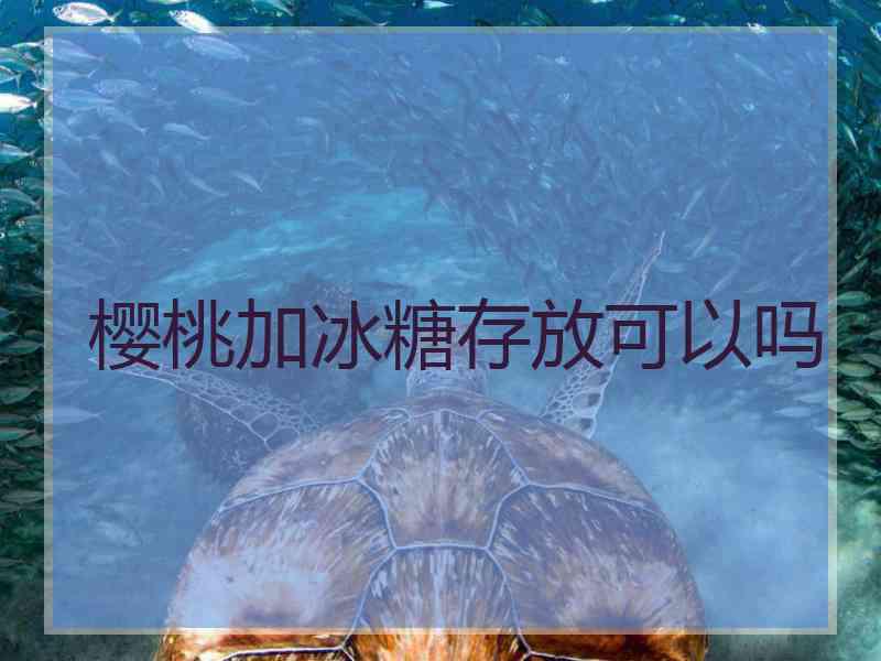 樱桃加冰糖存放可以吗