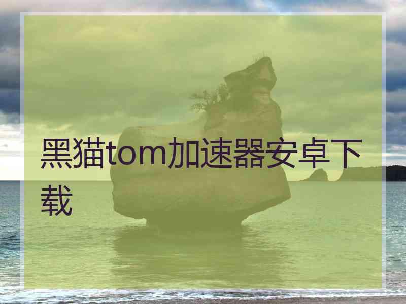 黑猫tom加速器安卓下载