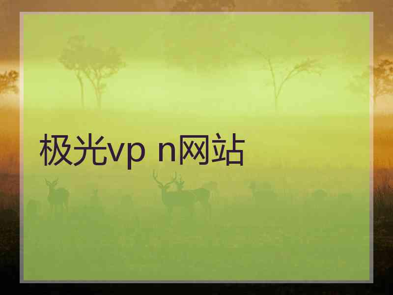 极光vp n网站
