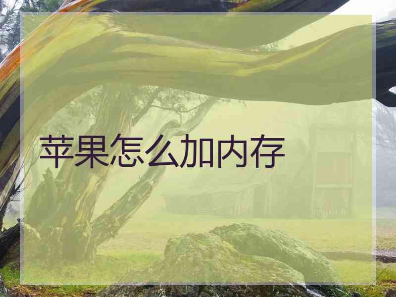 苹果怎么加内存