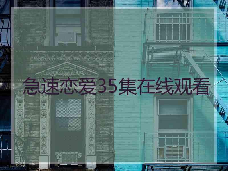急速恋爱35集在线观看