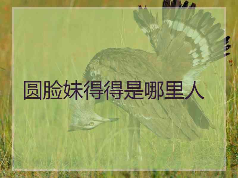 圆脸妹得得是哪里人