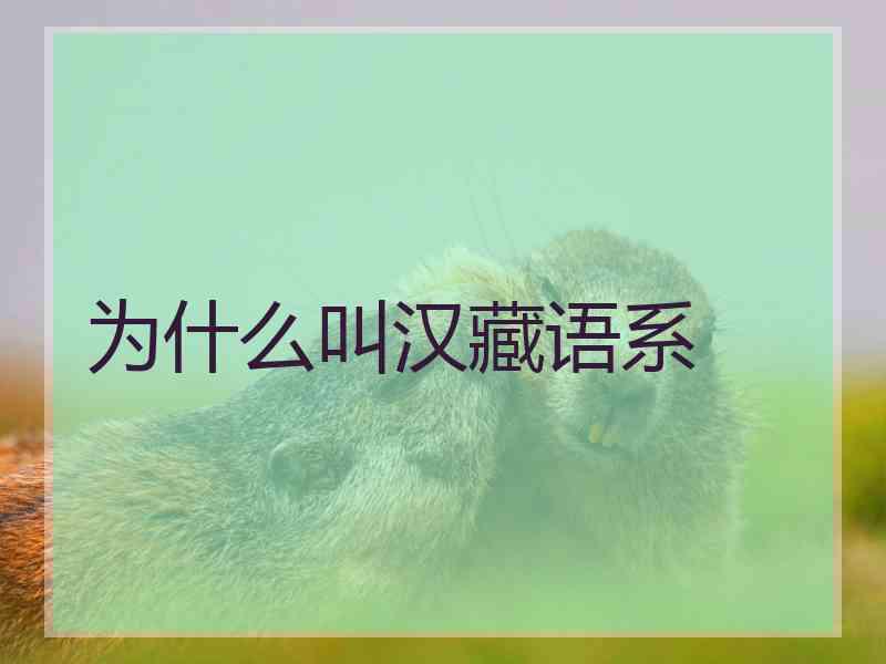 为什么叫汉藏语系